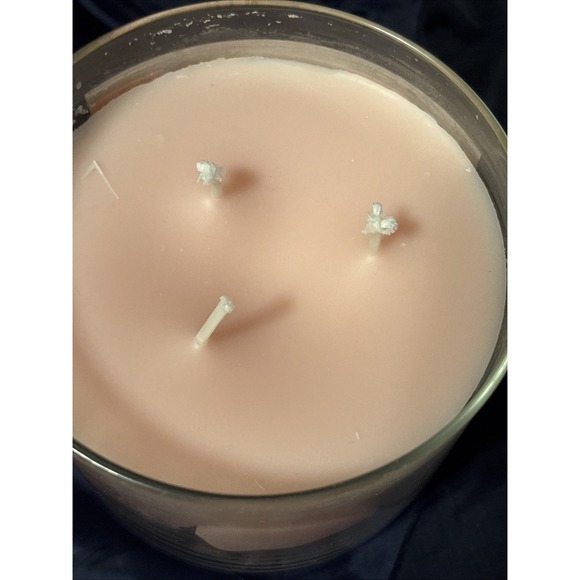 NEW Bath & Body Works 3 Wick Champagne Toast 14.5oz - Picture 4 of 6